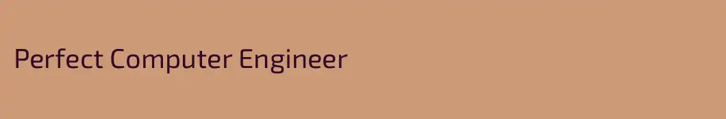 Perfect Computer Engineer
